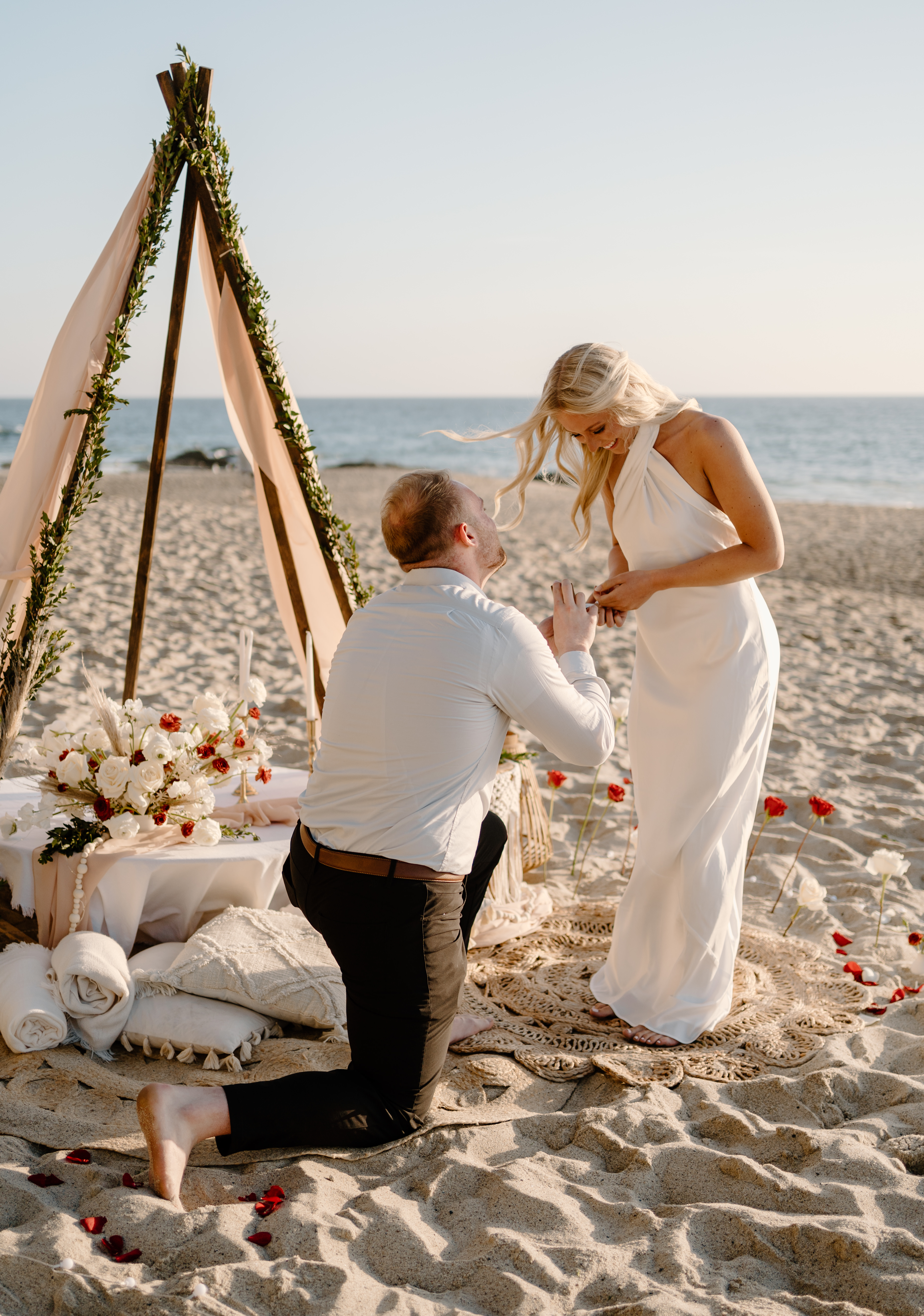 Proposals & Engagements
